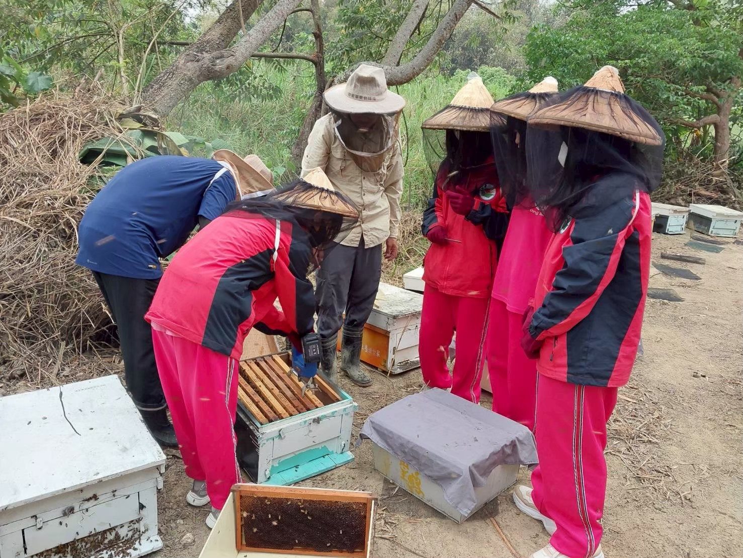 養蜂師示範蜂巢脾與龍眼蜜採收，學生近距離觀察蜂巢